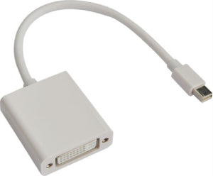 Astrotek Mini DisplayPort DP to DVI Cable 20cm - 20 pins Male to 24+5 pins Female Nickle RoHS-0