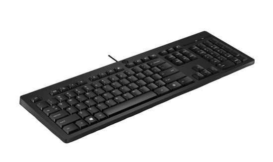 HP 125 Wired Keyboard - Compatible with Windows 10, Desktop PC, Laptop, Notebook USB Plug and Play Connectivity, Easy Cleaning 1YR WTY-0